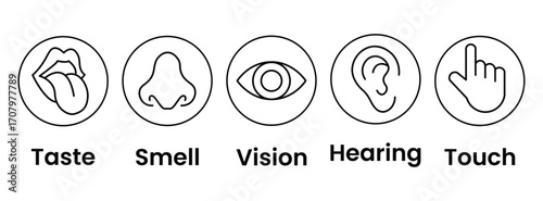 Human senses icon set. Vision eye, smell nose, hearing ear, touch hand, taste mouth with tongue. Simple line icons and black circle. Five senses of human nervous system. Vector illustration