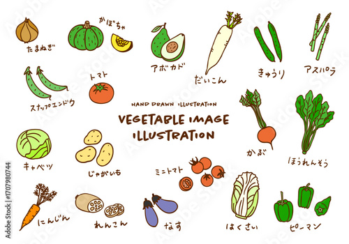 かわいい手描きの野菜イメージカラーイラストセット