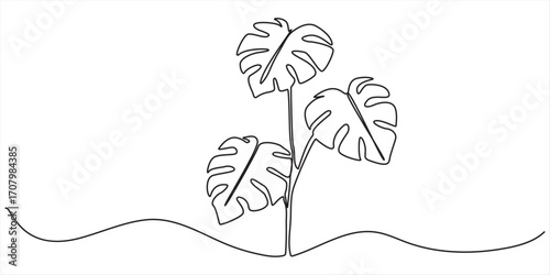 Monstera Leaf one line drawing  minimalist continuous line art isolated vector, Hand-drawing one continuous line art of tropical monstera leaves. Monstera leaf continuous one line drawing summer.