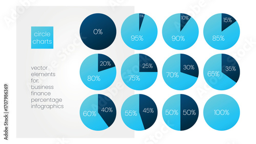 5 10 15 20 25 30 33 35 40 45 50 55 60 65 70 75 80 85 90 95 100 0 percent pie charts. Vector percentage infographic set. Circle diagrams for business, finance, progress, report
