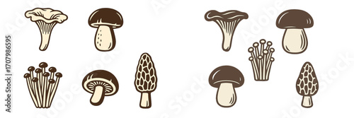 Diverse collection of edible wild mushrooms including chanterelle, porcini, enoki, and morel fungi varieties