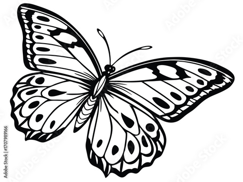 Elegant Butterfly.eps