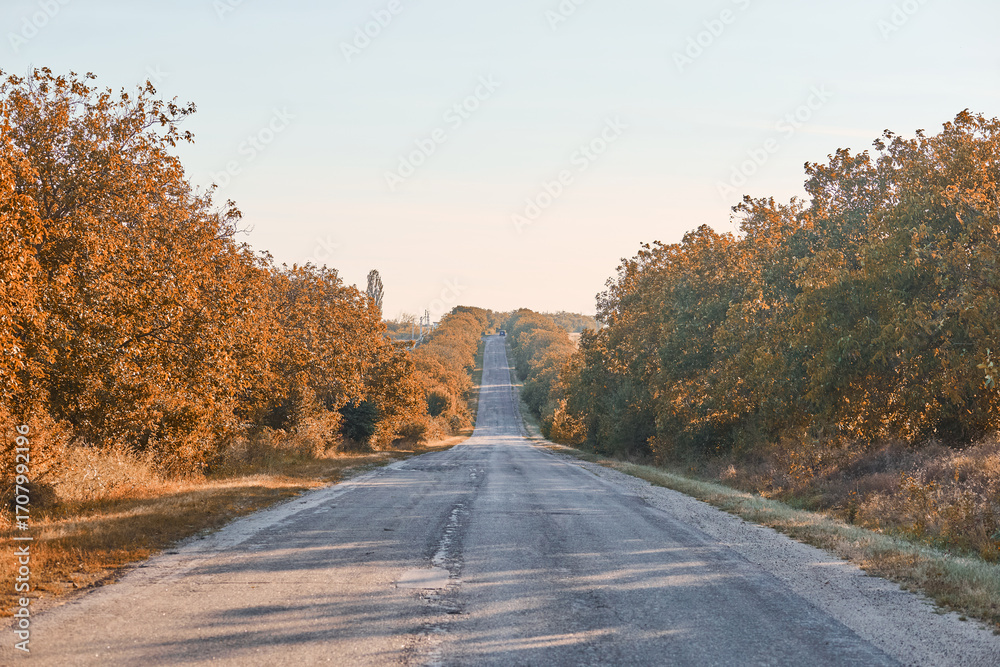 Fototapeta premium autumn road in the mountains
