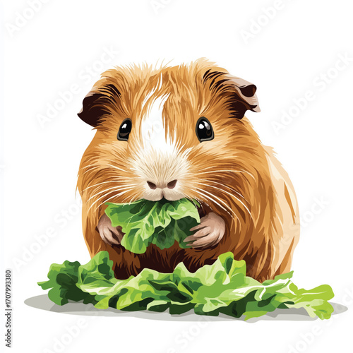 Adorable Guinea Pig Enjoying Fresh Green Lettuce