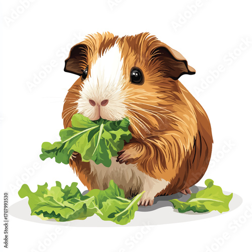 Adorable Guinea Pig Enjoying Fresh Green Lettuce