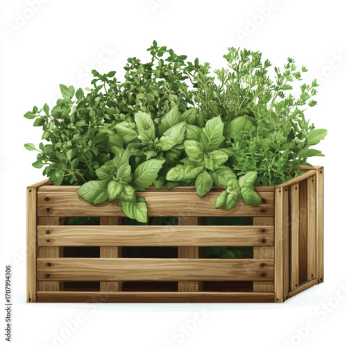 Assortment of Fresh Herbs in Rustic Wooden Crate