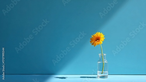A vibrant yellow daisy stands upright in a clear glass bottle filled with water against a striking blue background with 
