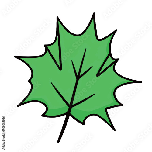 A green maple leaf with a clear outline, a simple cartoon illustration for nature, plant, and seasonal themes.