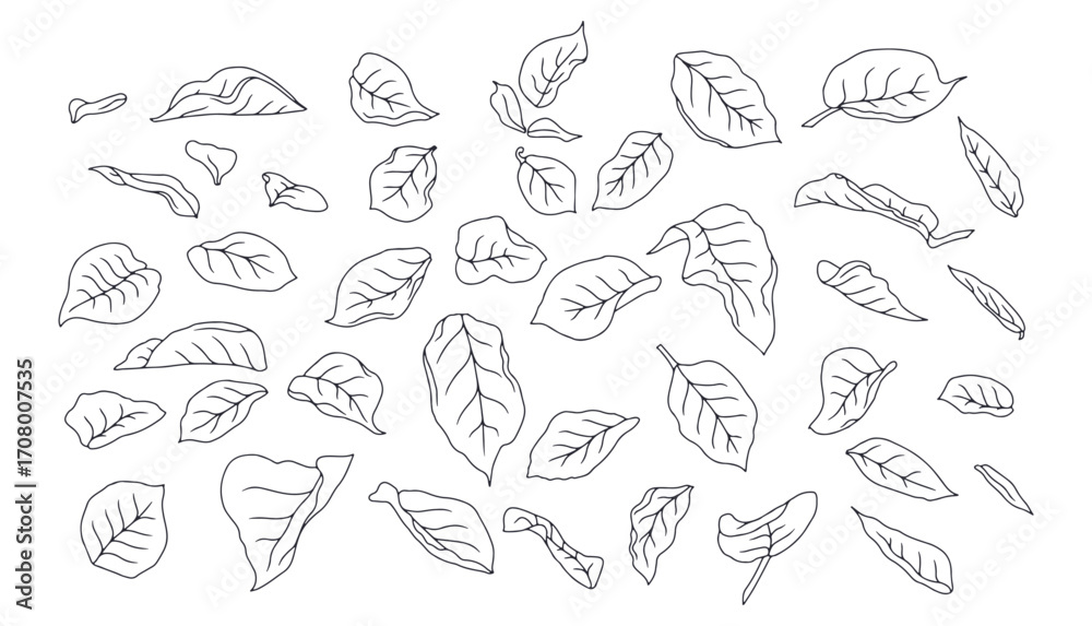 Naklejka premium Hand drawn black and white line art rose leaves set isolated clip art