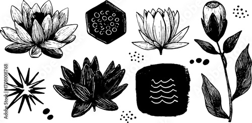 Spring lotus and flower mandala set with hexagon seeds and botanical design elements for creative projects
