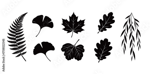 Collection of monochrome black silhouettes of various autumn leaves, including fern, ginkgo, maple, and oak leaves, with weeping willow branch, isolated on a white background.