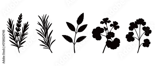 A minimalist set of black silhouettes of various herbs and plants, including rosemary and lavender, perfect for culinary and organic-themed designs.