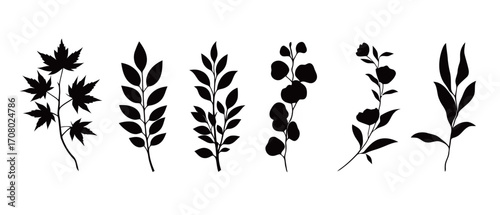 A diverse set of black vector silhouettes of different plant branches and foliage, including maple and various leaves, ideal for botanical illustrations and natural-themed logos.