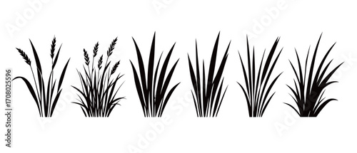A minimalist collection of black vector silhouettes of various types of grasses and reeds, ideal for creating natural and landscape-themed backgrounds and design elements.