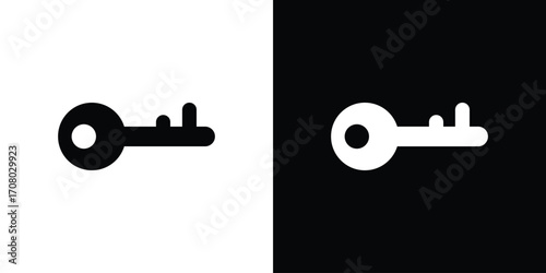 key icons. glyph vector icon. Vector illustration eps 10