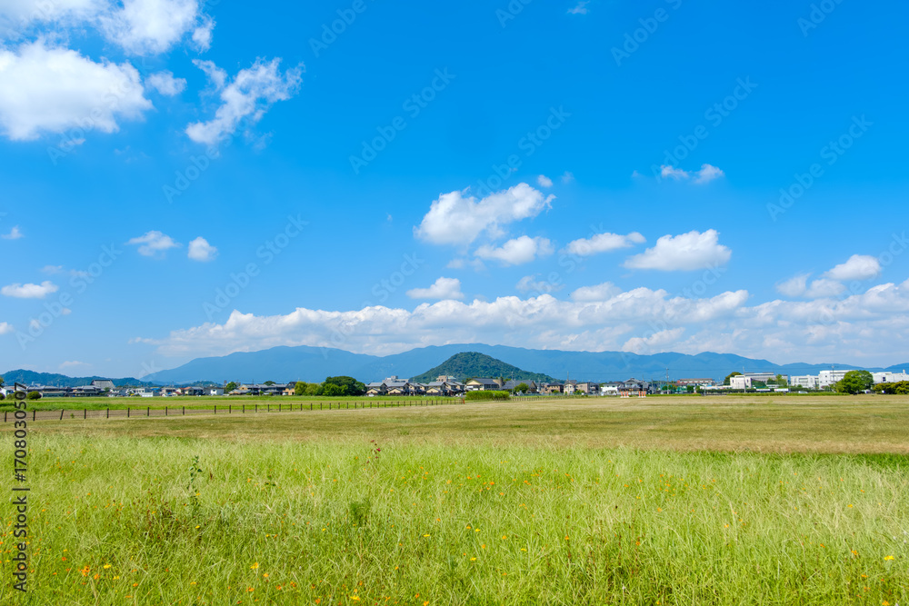 Obraz premium 夏の青空と緑豊かな田園風景