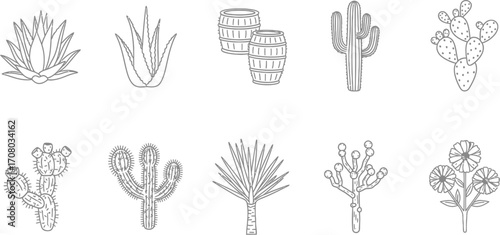 Collection of desert flora agave, aloe, barrel cactus, saguaro, prickly pear, cholla, yucca, and desert wildflowers