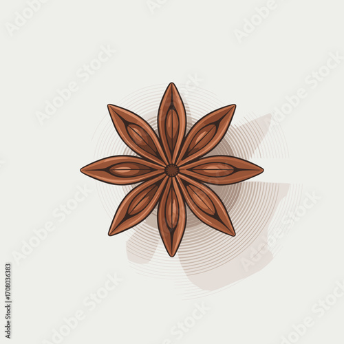 Star Anise Pod Vector Illustration