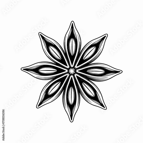 Star Anise Pod Vector Illustration
