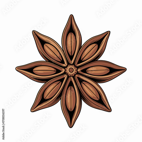 Star Anise Pod Vector Illustration