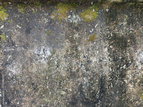 Old Mossy Wall Texture Background. Close-up of aged wall with moss and weathered stains, natural grunge surface perfect for textured backgrounds
