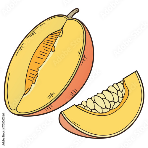 Vector art of a vibrant illustration showcases a halved melon and a melon slice, set against a, perfect for summer promotions, healthy eating concepts, and