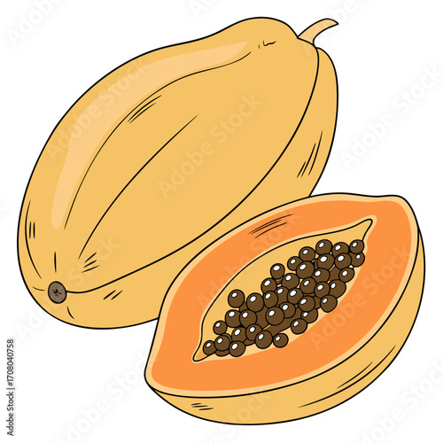 Illustration of a ripe papaya and a half papaya with seeds, fresh tropical fruit with sweet and juicy flesh, a popular ingredient in desserts and salads