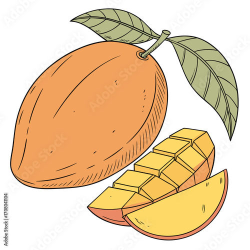Illustration of a whole mango with leaves and a sliced mango, showcasing the vibrant colors and textures of this tropical fruit