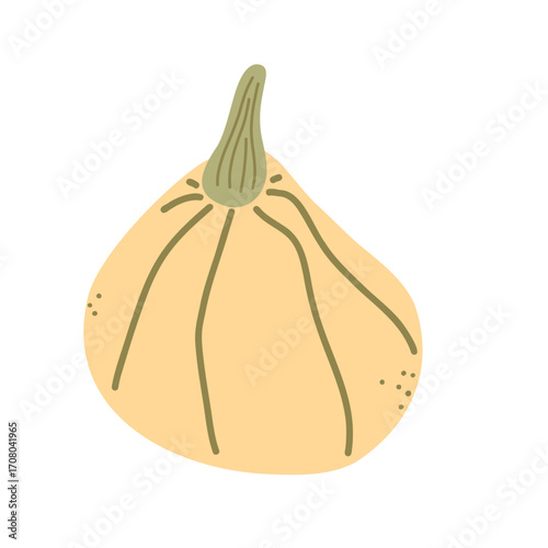 Beige Pumpkin illustration. Thanksgiving nutritious healthy food. Autumn harvest festival. Vegetable isolated vector item on white background. November autumnal color flat spot illustration