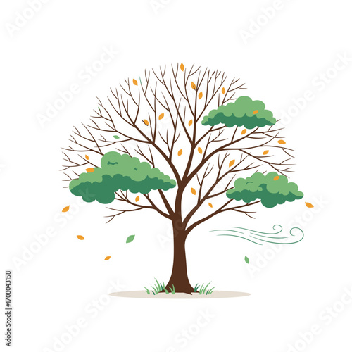 A solitary tree shows the changing seasons with some leaves clinging on.