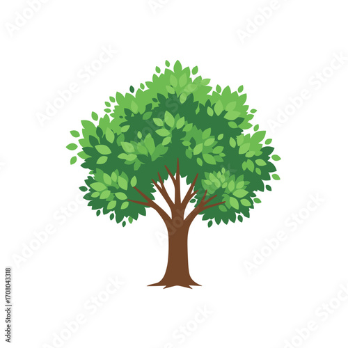 A lush green deciduous tree stands tall with a thick trunk and branches covered in abundant leaves.