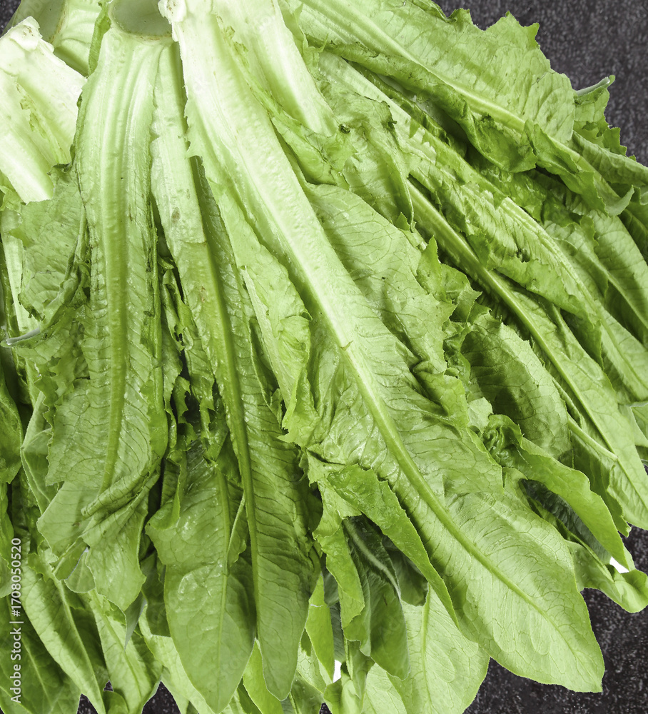 Fototapeta premium Fresh Romaine Lettuce Leaves in Piles Ready for Healthy Salad Preparation