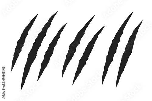 Claw scratches vector illustration. Tiger or bear paw slash marks. Monster attack concept. Wild animal rip, torn or damaged surface effect. Black silhouette icon isolated.