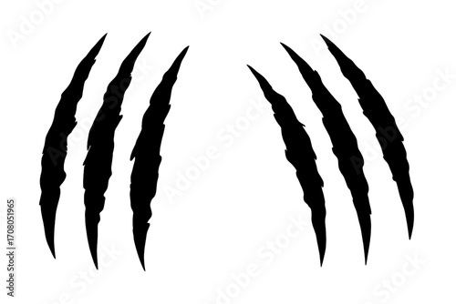 Claw scratches vector illustration. Animal claw marks silhouette. Monster, tiger, lion, or bear attack slash. Wild animal horror tear marks. Ripped paper effect. Danger.