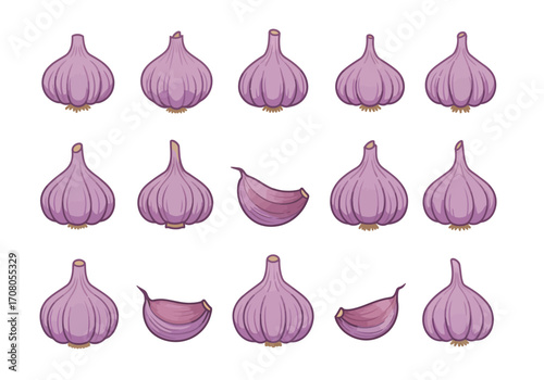 Cartoon Garlic Bulbs and Cloves Illustration.