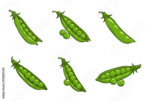 Cartoon Green Pea Pods with Peas Seamless Pattern.