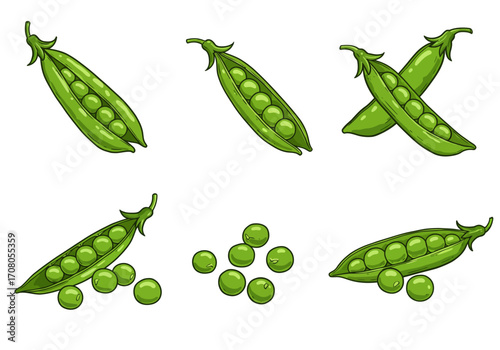Cartoon Illustration of Fresh Green Pea Pods and Loose Peas.