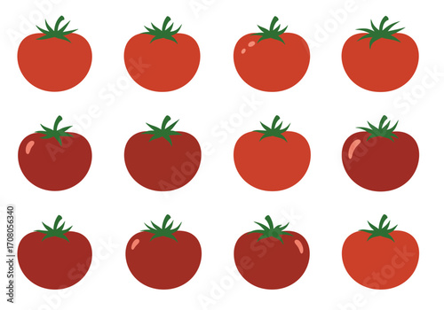Twelve Red Tomatoes with Green Stems in a Grid Pattern.