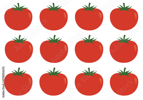Twelve Red Tomatoes with Green Stems in a Pattern.