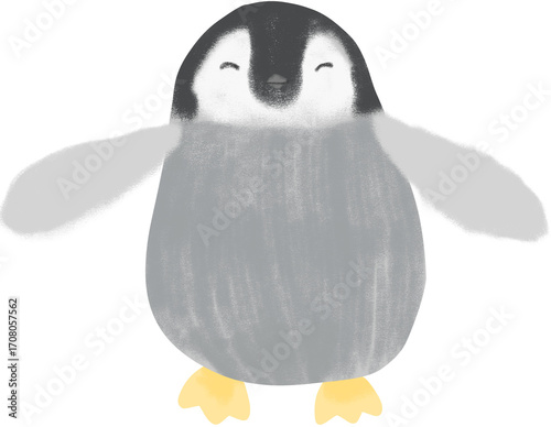 penguin on a white background