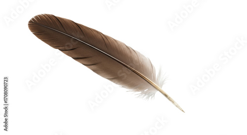 Εκτύπωση καμβά Isolated Brown Feather