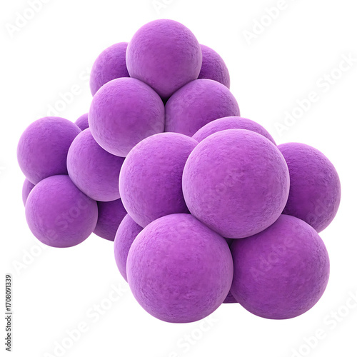 Staphylococcus aureus bacteria cell illustration closeup view, isolated on transparent background