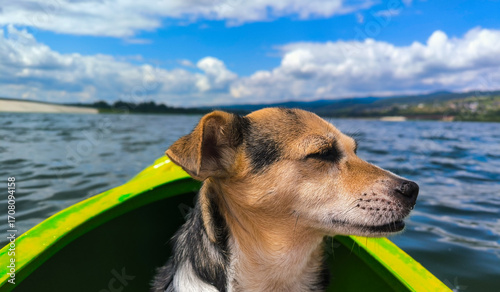 A dog in a kayak on the lake. A dog is a man's best friend and a member of the family. Active recreation for the whole family.