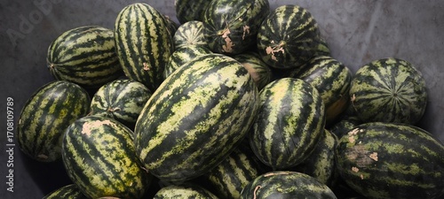 Wallpaper Mural Watermelon Fresh Fruit from the Garden Torontodigital.ca