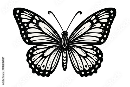 Black and white butterfly vector illustration. Elegant monarch butterfly with intricate, symmetrical wings. Isolated insect icon for a logo, tattoo, or summer graphic design.