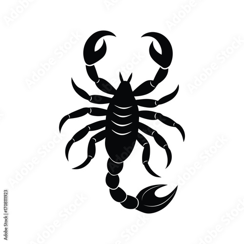 Black and white silhouette scorpion design