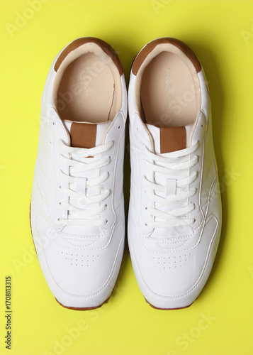 men's sneakers on a colored background top view. men's footwear. minimalism. Vertical photo format