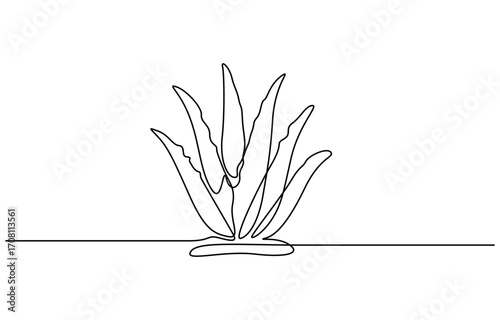 Continuous one line drawing of Aloe vera plant vector illustration. Editable outline