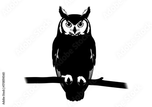 A funny cartoon illustration of a cute owl, kitten, and bat character design