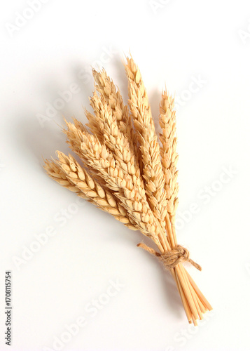 Wallpaper Mural spikelets of wheat on a white background. Vertical photo format Torontodigital.ca